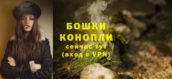 эйфоретик Беломорск