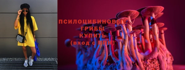 круглые Белокуриха