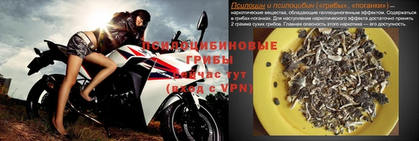 круглые Белокуриха