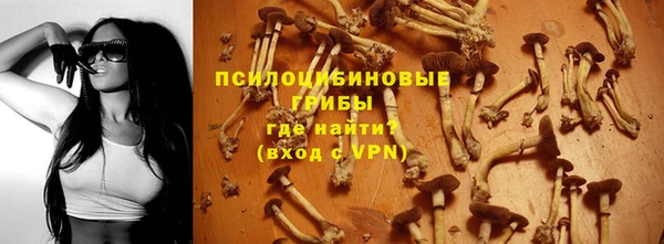 круглые Белокуриха