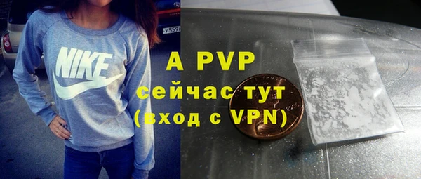 круглые Белокуриха
