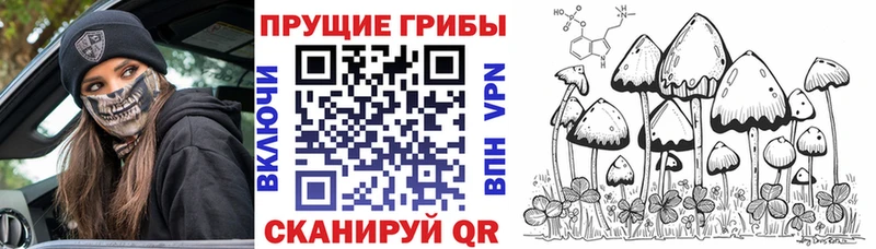 купить наркоту  Реутов  Псилоцибиновые грибы ЛСД 