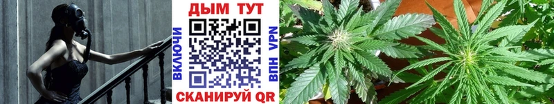 мега онион  Реутов  Канабис Amnesia 